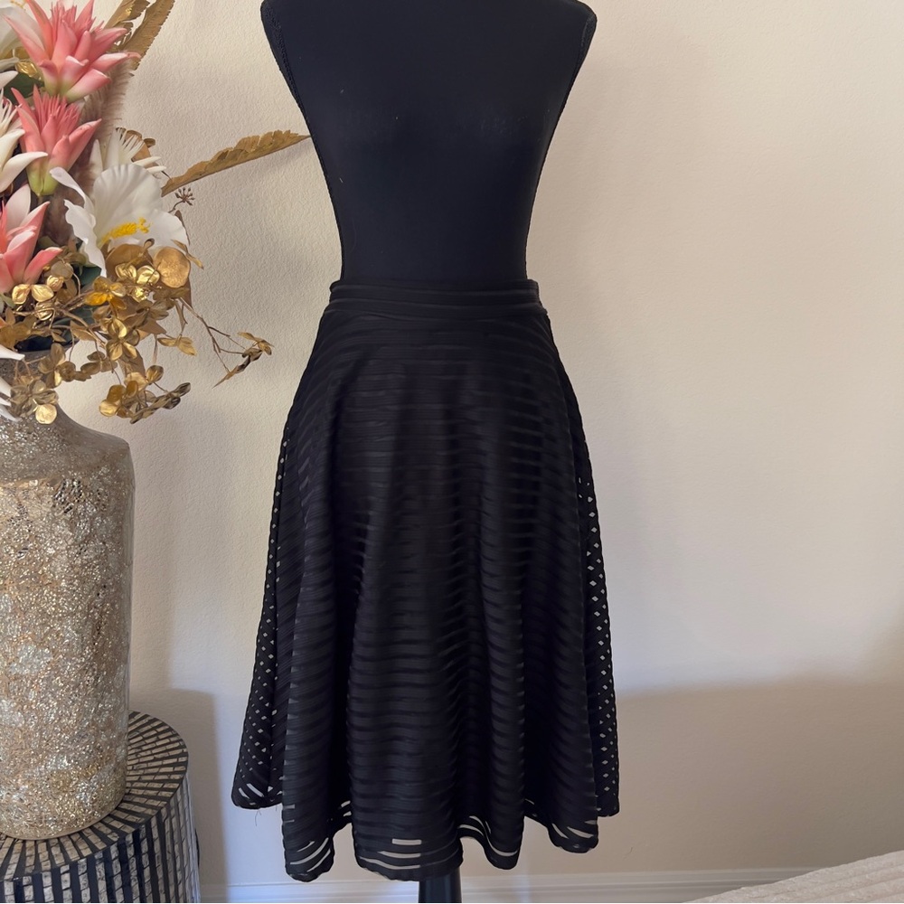 Grunge A-line Black Whimsygoth Striped Mesh Semi Sheer skirt w lining size Large